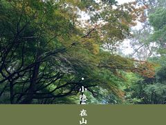 -灵顺寺