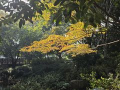 -中国茶叶博物馆(双峰馆区)