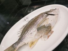 -吴记富苑(朝阳店)