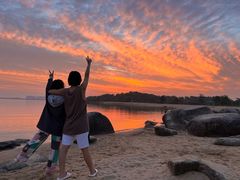 -瑶湖郊野森林公园