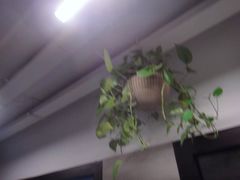 -引领英语·成人口语·雅思托福