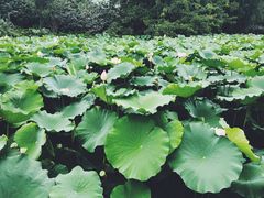 景观位-莫催咖啡