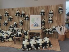 -及象咖啡Air·360度俯瞰广州塔(北塔68F店)