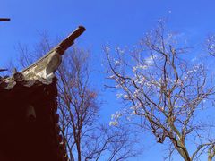 -上海佘山国家森林公园西佘山园