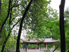 -柳侯公园