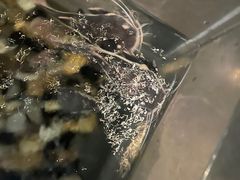 -中国湿地博物馆