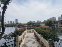 -深圳龙潭公园