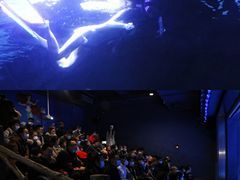 -石家庄海洋公园