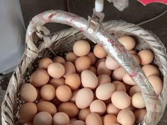 -马陆小张葡萄园农家乐