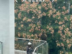 -武汉荟聚