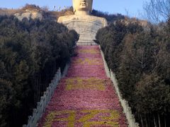 -蒙山大佛景区