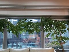 -精德口腔·种植修复·儿牙中心(财富中心店)