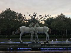 -鹭江潮餐厅•福建菜(鹭江佲家酒店)