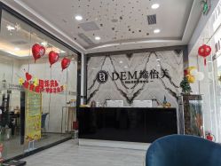 -DEM缔怡美科技美容
