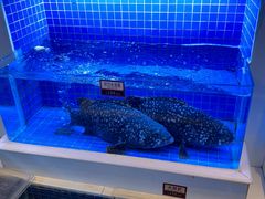 -金苑海鲜酒家(来魅力店)