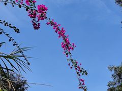 -火炉山森林公园