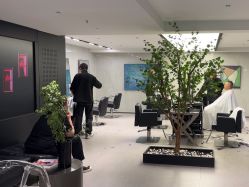 -付军剪艺JF ProSalon