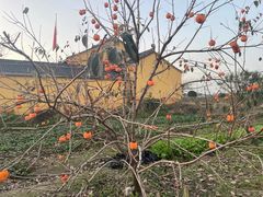 -四明山国家森林公园