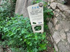 -嵖岈山风景区