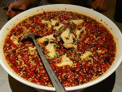 -羊门客在·烤盐池滩羊·川菜