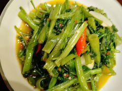 -荷花泰菜(东方新天地店)