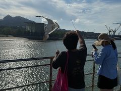 -海驴岛(荣成市)