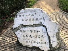 -九又四分之三站台