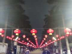 -万绿园
