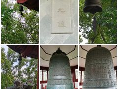 -汇龙潭