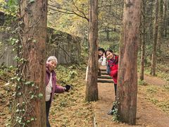 -山王坪喀斯特国家生态公园