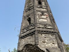 -上海佘山国家森林公园天马山园