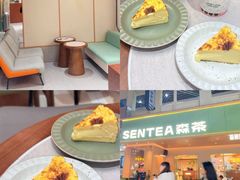 -森茶(湛江万达店)