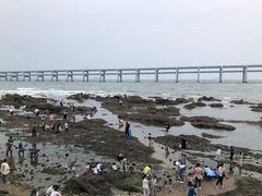 -黑石礁公园