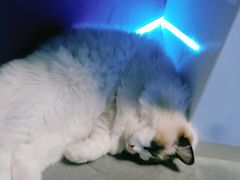 -零纪元VR体验馆·桌游(黄浦店)