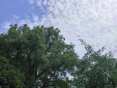 -金华体育中心游泳馆