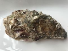 -Oyster Talks 四度蚝法餐厅