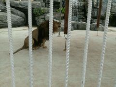 -亚马逊丛林水乐园