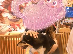 -豆柴町-柴犬主题狗咖(红鼎国际C座店)