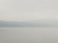 -阳宗海湿地