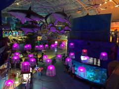 -烟台海昌鲸鲨海洋公园