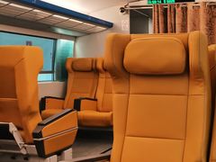 -龙阳路磁悬浮列车总站-停车场