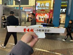 -董顺桃老长沙臭豆腐(步行街店)