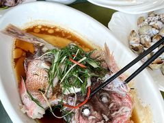 -众味海鲜大排档·活海鲜·潮汕味(南澳店)