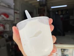 -洪馨椰子
