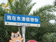 -东澳岛