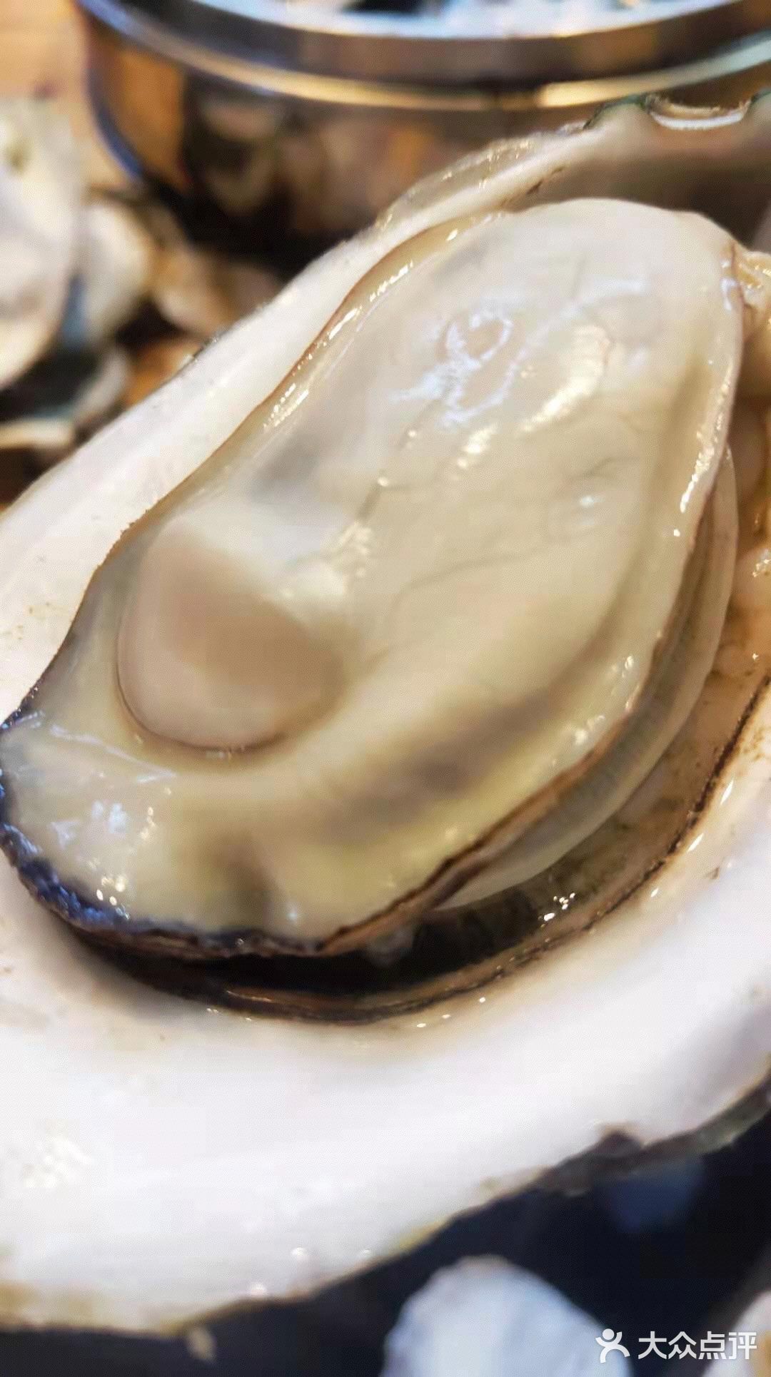 巴掌大的生蚝04一口下来都是汁水