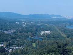 -九曜山