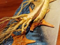 鲜人参锅底-千岛蚝高压锅生蚝·人参火锅(白云万达店)