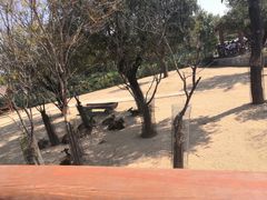 -临沂动植物园