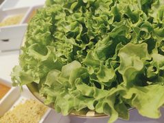 -杨记齐齐哈尔烤肉(总店)